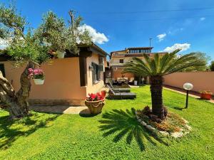 einen Hof mit einem Haus und einer Palme in der Unterkunft La casetta holiday in Fiumicino