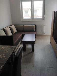 a living room with a couch and a table at Apartman Nina in Banja Koviljača