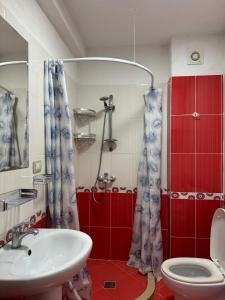 een badkamer met een wastafel, een toilet en een spiegel bij Bamisa Apartments in Golem