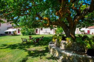 Taman di luar Masseria Rossella