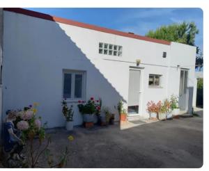 a white building with potted plants in front of it at Anexo na Quintinha in Caldas da Rainha