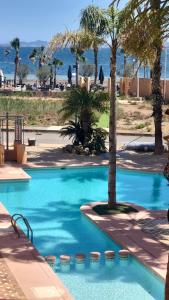 a blue swimming pool with palm trees and the ocean at Casa Allegra in Los Alcázares