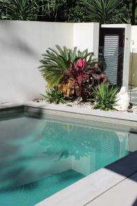 Kolam renang di atau dekat dengan Pandanus Beach House - Direct Beach Access