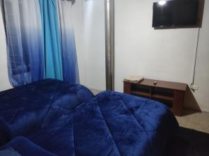 洛桑赫萊斯的住宿－Hostal NFrocket，一间卧室配有蓝色的床和电视