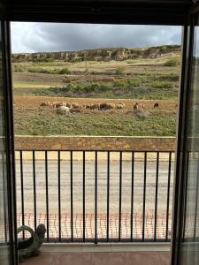 una vista desde una ventana de un campo con animales en Casa ELENA i MARTA , Valdelinares en Valdelinares