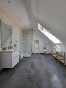 W łazience znajduje się umywalka, prysznic i toaleta. w obiekcie Tulipan w mieście Krapkowice