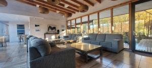 a living room with couches and a table and windows at Endemiko in Malalcahuello