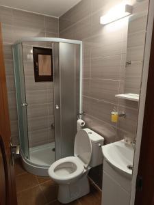 a bathroom with a shower and a toilet and a sink at Casuta Din Livada in Moisei