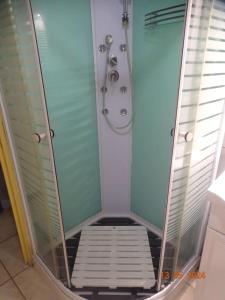 a bathroom with a shower with a glass door at Maison charmante à Gros-Morne avec terrasse et jardin in Gros-Morne