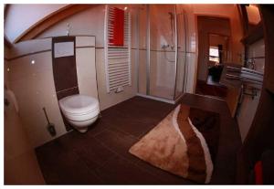 a bathroom with a toilet and a shower at Ferienwohnung Mühl in Zwiesel