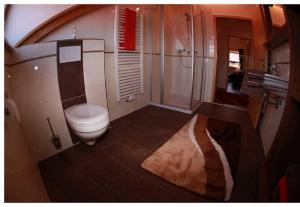 ein Bad mit einem WC und einer Dusche in der Unterkunft Ferienwohnung Mühl in Zwiesel
