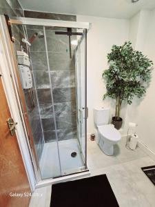 a shower stall in a bathroom with a toilet at B&R Place in Dublin