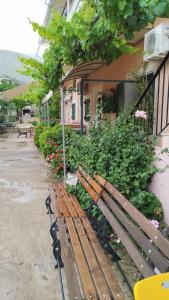 Zahrada ubytování Oasis Hostel