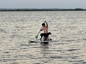 een man en een hond op een paddleboard in het water bij Dolphin Blue Paradise in Bocas del Toro