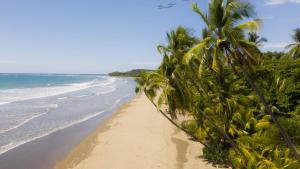 a sandy beach with palm trees and the ocean at Casa pacific vista in Ojochal