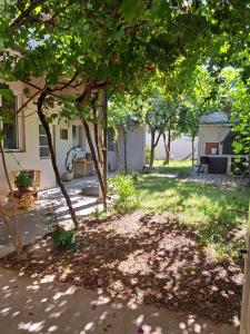 a yard with trees and grass and a building at Habitaciones en Casa Típica Mendocina in Mendoza