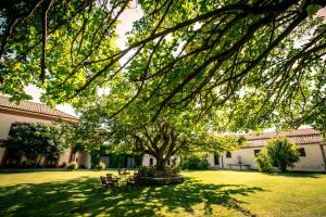 皮亞納德利亞爾巴內西的住宿－馬塞里亞羅塞拉酒店，长凳的院子中间的一棵树