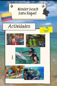 a collage of photos of a beach and the ocean at WonderBeach Baru Raquel in Barú