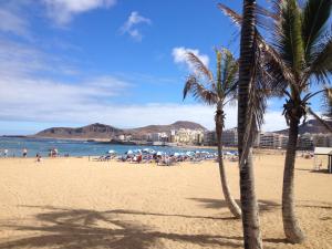 a beach with palm trees and people in the water at Apartamento Good Holidays in Las Palmas de Gran Canaria