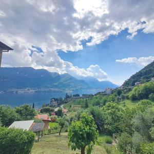 a view of a lake with mountains in the background at Da Vinci Refuge 2 in Limonta