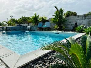 Hồ bơi trong/gần Refuge PêBê Joli logement au coeur d'un immense jardin tropical