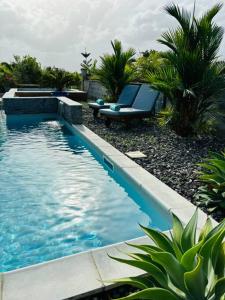 Hồ bơi trong/gần Refuge PêBê Joli logement au coeur d'un immense jardin tropical