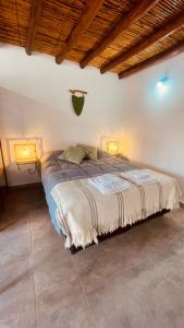 ein Schlafzimmer mit einem Bett mit zwei Leuchten in der Unterkunft Monoambientes El viejo Olivo in Villa Unión