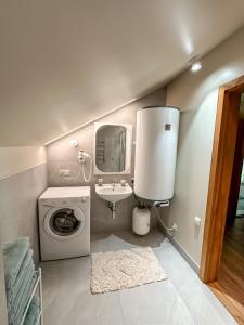 een badkamer met een wasmachine en een wastafel bij Vila Ambasada in Šventoji