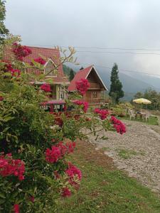 uma casa com flores cor-de-rosa em frente em Spring Brooks Homestay em Darjeeling
