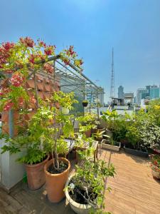 ホーチミン・シティにあるAN Studio DTHの屋根の鉢植えバルコニー