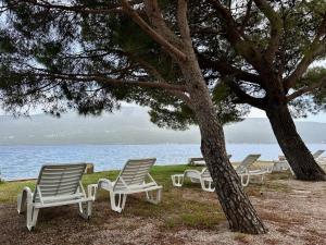 a group of chairs sitting under a tree next to the water at Herceg Novi in Herceg-Novi