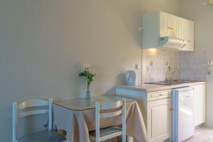 a small kitchen with a table and a sink at Diona Studios in Lourdata