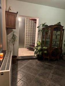 ein Wohnzimmer mit einem Schrank und Topfpflanzen in der Unterkunft Nilvaevents in Duffel + 37 Fotos