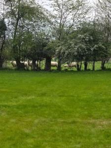 Gallery image of La petite maison dans la prairie in Bierville