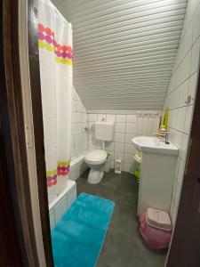 een kleine badkamer met toilet en wastafel bij Berzsenyi Ház in Balatonfenyves
