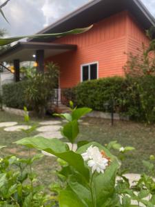 a white flower in front of a red house at Coconut Lanta Resort @Klong Dow beach in Krabi town