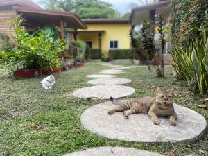 a cat laying on a stone path in a yard at Coconut Lanta Resort @Klong Dow beach in Krabi