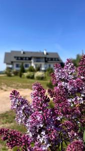 Billede fra billedgalleriet på Cisowe Sioło i Jeleniewo + 33 billeder