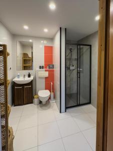 La salle de bains est pourvue de toilettes, d'une douche et d'un lavabo. dans l'établissement Domek nad Jeziorem, à Ryn