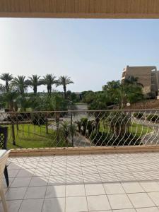 a view from the balcony of a resort with palm trees at King Dan comfort in Caesarea