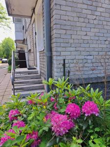 a bunch of pink flowers in front of a building at Švyturio apartamentai in Klaipėda