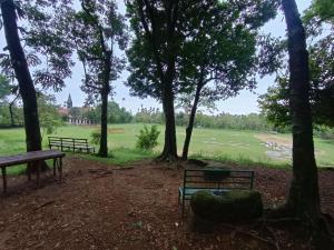 Fotografie z fotogalerie ubytování Benjamin homestay v destinaci Mawlynnong + 28 fotografií