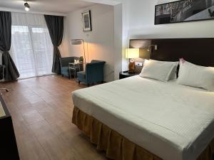 a hotel room with a large bed and a desk at Vila Anda in Eforie Sud