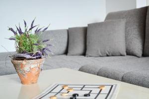una pianta in vaso su un tavolo di fronte a un divano di Haus Watzmann a Prien am Chiemsee