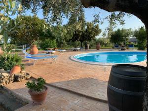 Bazén v ubytování Agriturismo Casale Sasso nebo v jeho okolí