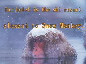 Kidoike Onsen Hotel في يامانوتشي: شخص في الماء في الثلج