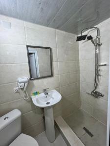 uma casa de banho com um lavatório, um WC e um chuveiro em Hotel Doko em Martvili