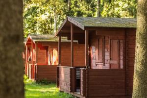 una pequeña cabaña en el bosque con un árbol en Vaibla Holiday Center, en Vaibla