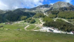a view of a mountain with trees and a road at Le Verande sulle piste in San Massimo