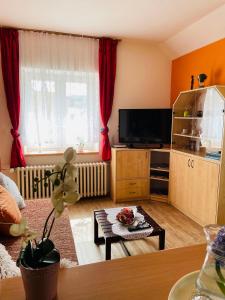 uma sala de estar com uma televisão e uma mesa em Apartmán Trutnov-Poříčí em Trutnov